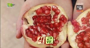 KBS2 ‘2TV 생생정보-우리가 궁금한 네모’ 제철 맞은 고흥 석류…석류 맛있게 즐기는 방법은?