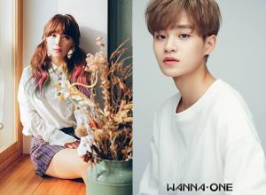 워너원(Wanna One) 이대휘, 소속사 선배 강민희에게 곡 선물…‘가을 감성 가득한 발라드’