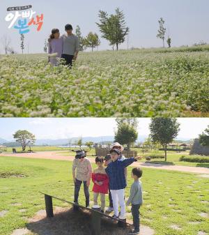 ‘아빠본색’ 박지헌, 알콩달콩 부부 데이트 즐기는 반면…육남매 육아로 멘붕에 빠진 어머니