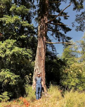 영화 ‘패신저스’ 크리스 프랫, 거대한 나무 앞에서 포즈 취해…‘위풍당당’