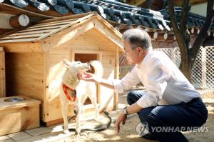 김정은 위원장 선물한 풍산개 새끼 출산…文대통령 “남북관계 이와 같길”