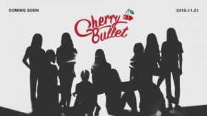 [공식입장] FNC, 신인 걸그룹 체리블렛(CherryBullet) 론칭…11월 21일 커밍순