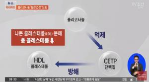 “좋은 콜레스테롤↑”…폴리코사놀, 다양한 효능에 이목 집중