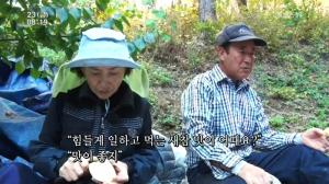 ‘인간극장’ 호자 씨의 전성시대 5부, 장인어른의 구례 산수유 “나무 심은 사람 있으니까…”