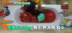 ’날보러와요’ 알베르토, 아들 레오와 함께 무려 60kg 토마토 김장 레시피 공개! 