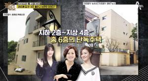 주식부자 견미리, 90억 상당의 고급 주택 새삼 화제…준공부터 설계까지 모두 관여