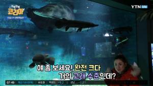 ‘구석구석 코리아’ 경북 울진 여행, 민물고기 생태체험관은 ‘민물고기 아쿠아리움’