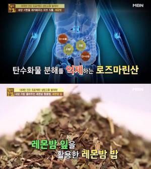 ‘다이어트 효능’ 레몬밤, 추출분말 첨가한 레몬밤차로 쉽게 섭취…효능·부작용·하루 권장량 눈길