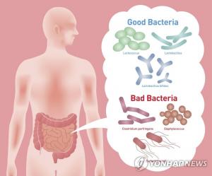 腸 박테리아, 당뇨약 효과에 영향 미치나?…‘프리바이오틱스 개발 작업 진행’