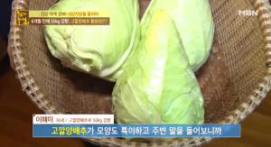 고깔양배추, 내장지방 분해 효과→6개월 만에 50kg 감량 성공…활용법은?