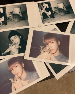 워너원(Wanna One) 강다니엘, 댕댕이의 넘치는 고양이 사랑…“사진 팔아줘”