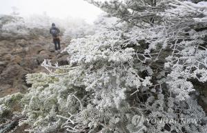 상고대, 아름다운 자태에 눈길…‘의미는?’