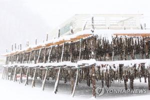 강원지역, 한파주의보에 이어 눈 소식…‘오후부터 동해안 눈’