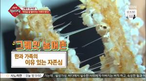 ‘생생정보마당’ 전라북도 임실군의 전통 한과, 오로지 쌀 초청을 고집하는 이유