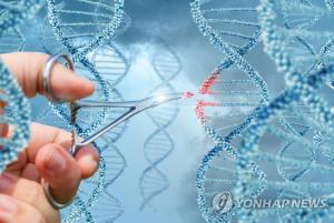 새 유전자 가위 나왔다…사람·세균 DNA 교정 가능