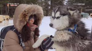 ‘걸어서 세계속으로’ 러시아 사할린 여행, 눈밭 달리는 개썰매 체험 ‘눈길’