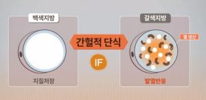 ‘간헐적 단식’ (FMD 식단) 방법은?… ‘하루 중 16시간 금식하고 8시간 먹기’