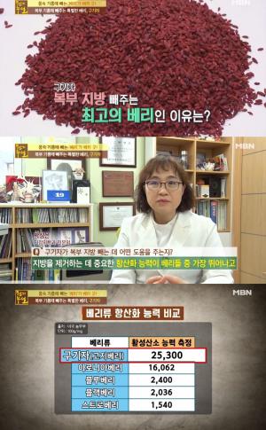 “미란다 커의 건강비결”…구기자, 효능 한 눈에