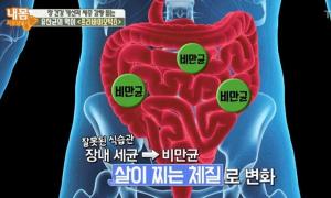 ‘프리바이오틱스’ 부작용은? ‘과다 섭취할 시 복통-수술 직후엔 권장하지 않아’