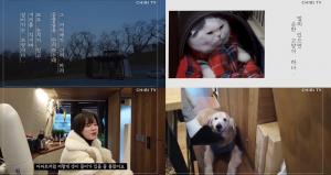 유튜버로 변신한 구혜선, ‘우리 집에는 여덟머리 동물들이 산다’…소소한 일상 공개