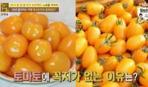 ‘황금토마토’ 노화를 막아주는 비밀병기 ‘무슨 식품일까’