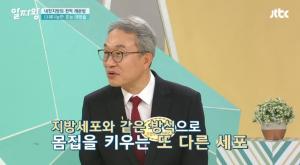 ‘나르샤 다이어트 비법’ 레몬밤 효능은? 내장지방 제거 및 암세포 억제 뛰어나…부장용은 무엇?