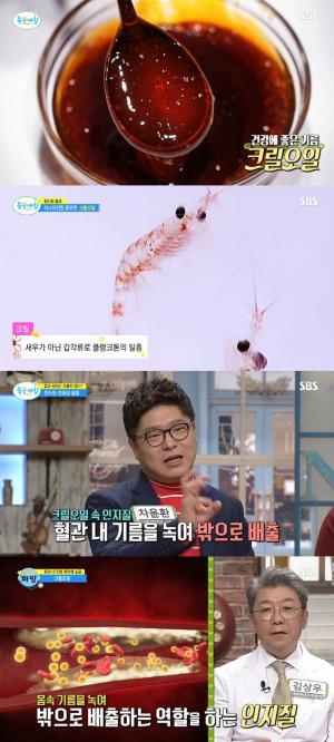 크릴오일, 혈관 내 지방 제거·뇌 노화 예방에 탁월한 효능