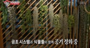 ‘JYP 신사옥’ 성내동 사옥 공개 “건물 전체 산소 공급기 설치” 구내식당은? ‘감탄 그 자체’