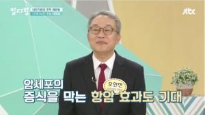 ‘레몬밤’, 내장지방 억제로 다이어트 식품으로 인기…‘유의사항은?’