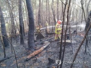 부산 해운대구 운봉산, 벌써 세 차례 재발화…7일 비소식 ‘불길 잡는데 도움 될 것’