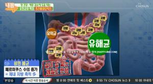 다이어트에 효과적인 프리바이오틱스, ‘분말로 복용 추천’…효능 및 부작용은?