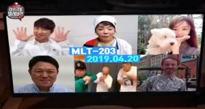 ‘마리텔V2’(마리텔 시즌2), MLT 203 라인업 공개…김수미-정유미-미스터 두들-장동민 합류