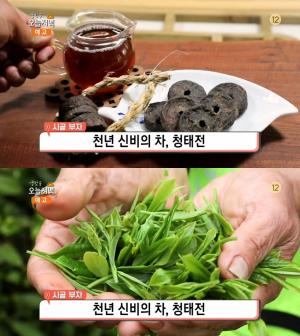 ‘생방송 오늘저녁’ 발효차 청태전 ‘장흥다원’ 위치는? “천년 신비의 차, 연 매추 2억”