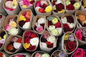 5월 14일 로즈데이, 네티즌 추천 선물 순위와 장미 꽃말은?