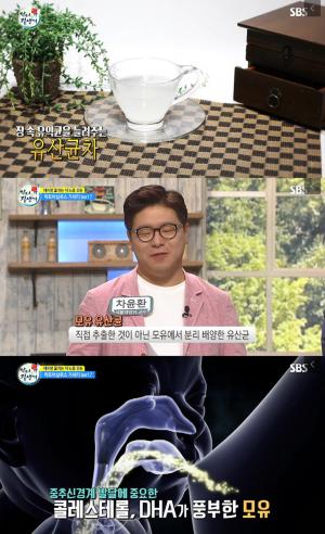 락토바실러스 가세리 bnr17, 모유 유산균의 효능과 부작용까지…‘체지방 사냥꾼’