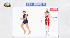 김연아 운동법 ‘슬로 트레이닝’, 뭐길래? 하루 6분만 투자하면 ‘제3의 지방 탈출’