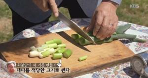 ‘한국인의 밥상’ 최불암 표 파기름 부터 머위들깨볶음-칠게볶음-호두냉국수 레시피 공개