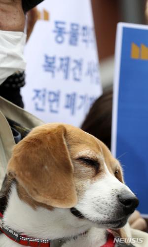 [리붓] ‘그것이 알고 싶다’ 이병천 교수 편 이후 정부서 검역 탐지견 관리 제도 개선안 내놔