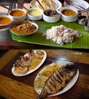 [★픽] ‘걸어서 세계속으로’ 인도 케랄라 여행, 커리(카레)·새우·생선 요리 맛집 ‘침샘 자극’