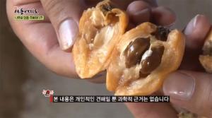 비파열매, 건강부터 맛까지 모두 잡아…‘효능-먹는법 알고 섭취하자’