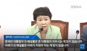 정미경 “‘세월호 한 척’ 문재인 대통령, 이순신 보다 낫다” 막말 파문…자유한국당 향한 네티즌 질타 이어져