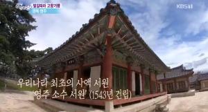 &apos;6시 내고향&apos; 경북 영주 무섬마을 반두고기잡이와 소수서원 + 충남 부여의 친환경 우유 소개! (2)