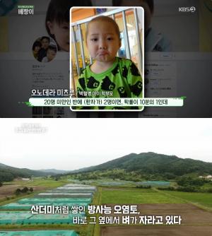 ‘베짱이’ 후쿠시마 원전사고, 日 현지인 “올림픽? 방사능 문제 전혀 끝나지 않아”