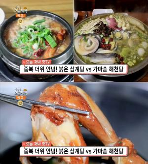 ‘생방송 오늘저녁’ 부천 붉은삼계탕 vs 마곡나루역 가마솥해천탕, 중복·말복 보양식 맛집 위치는?