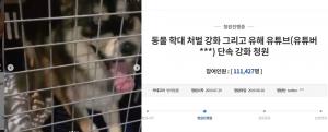 [리부트] 유튜버 승냥이, 동물권 단체에 소유권 포기각서…사과 방송서 “500만원 기부” 눈물 
