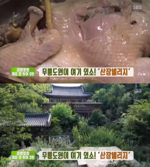 ‘생방송투데이-리얼맛집’ 부산 기장 닭·오리백숙 산장 맛집, 장안사계곡 속 무릉도원 여기!