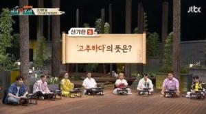 순우리말 ‘오이하다’-‘고추하다’의 뜻은 무엇? ‘수박하다’-‘매실하다’-‘포도하다’-‘자몽하다’ 등 여러 표현 있어