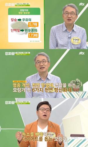 모링가 효능, 독소 배출부터 다이어트까지…‘부작용도 확인하자’