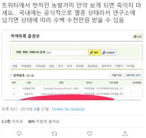 농발거미, 생포하면 포상금? 사실 맞나…네티즌 “줘도 못 잡을 듯” 