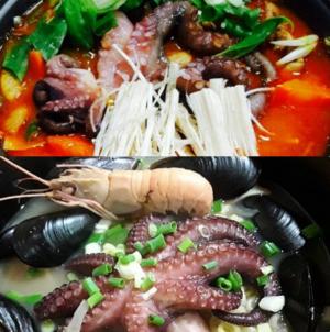 ‘생방송투데이-자족식당’ 제주공항 돌문어닭볶음탕 맛집 위치는? “바다를 통으로 담은 자연산 돌문어 요리”